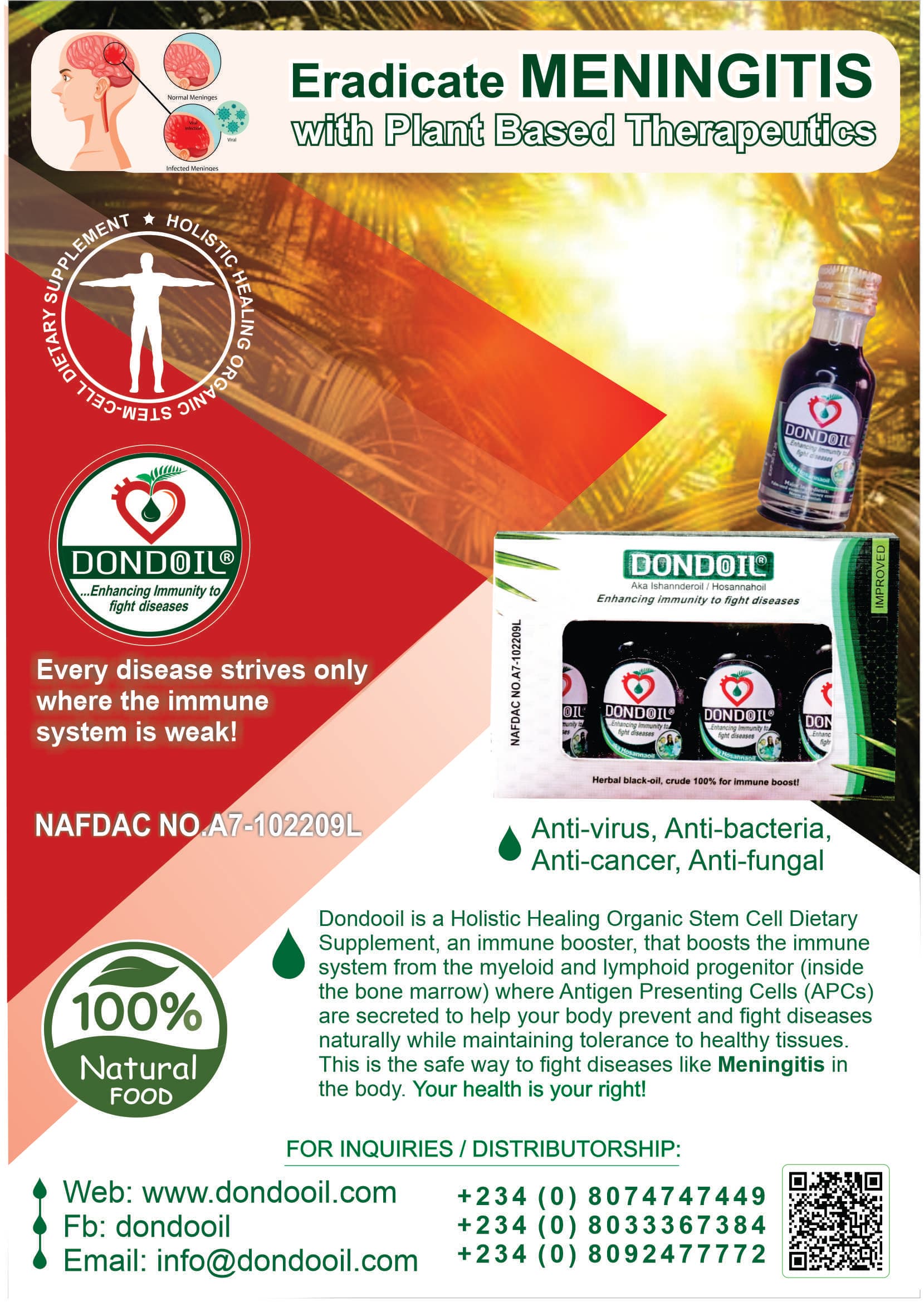 DONDOOIL Meningitis Treatment Flyer